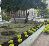 Облагородиха зелените площи на площад „Съединение“ за празника на Пловдив